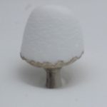 snow on bird bath